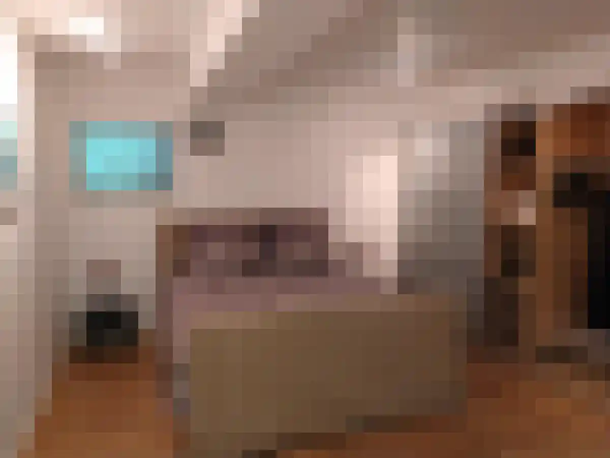 Rotterdamsekaai 77 Middelburg thumbnail 4
