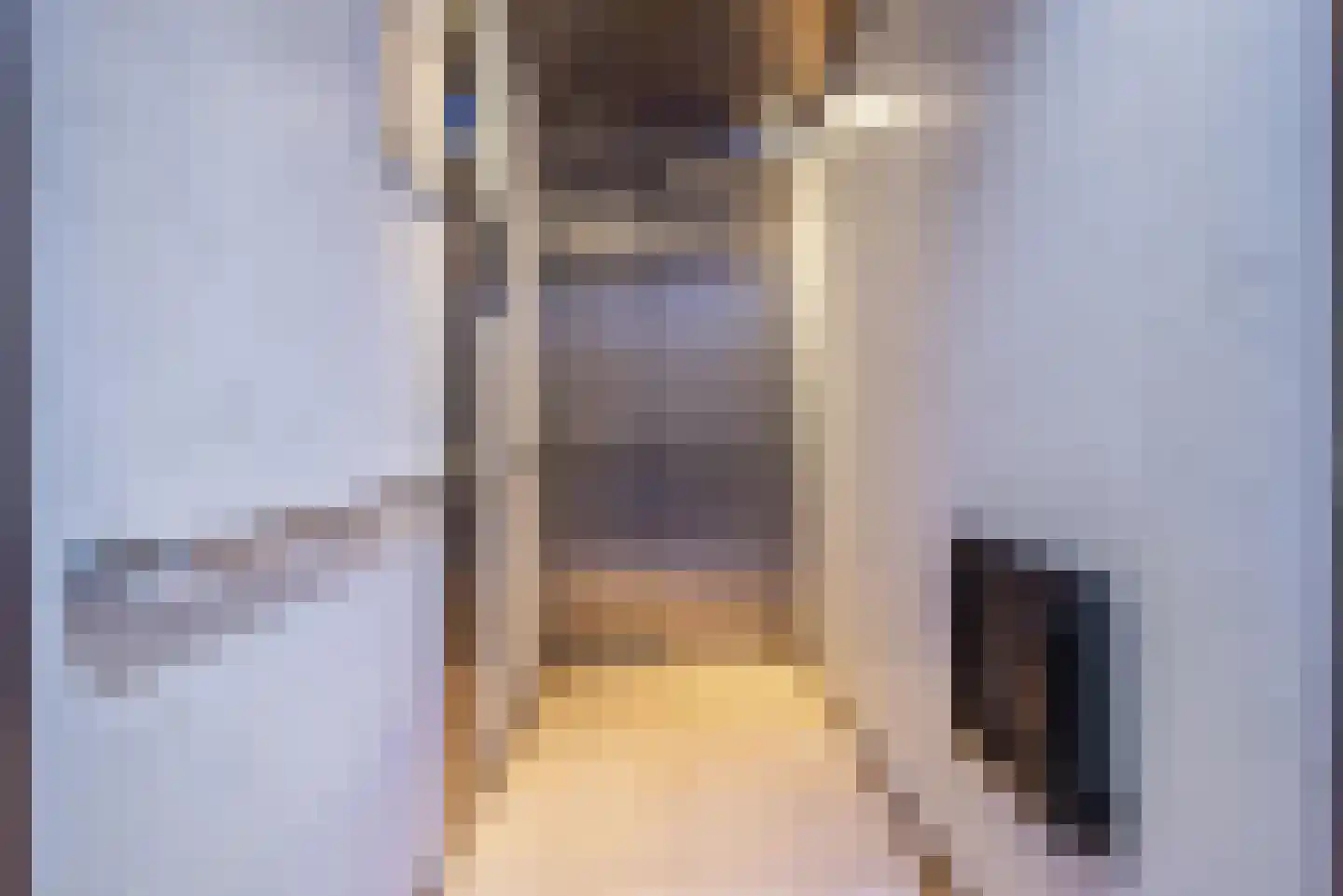 Rotterdamsestraat 2 1 Den Haag thumbnail 27