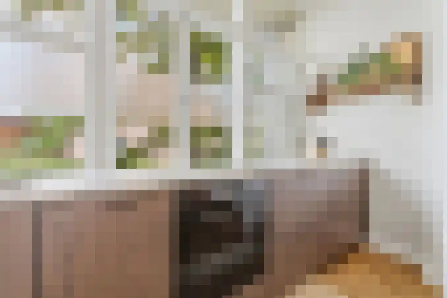 Rotterdamsestraat 8 Den Haag thumbnail 20