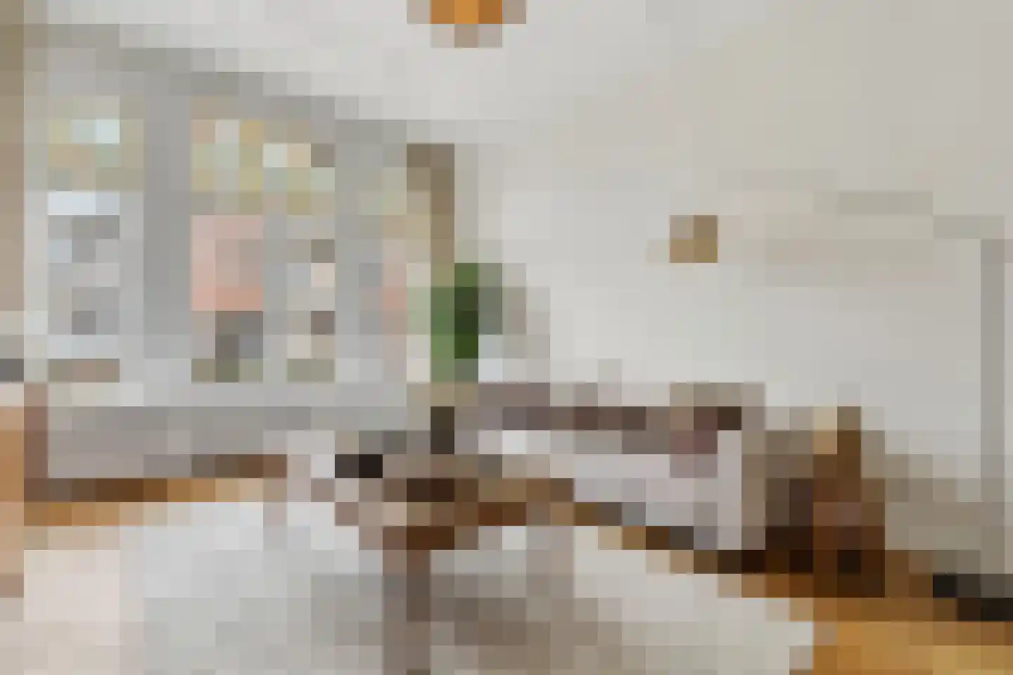 Rotterdamsestraat 8 Den Haag thumbnail 5