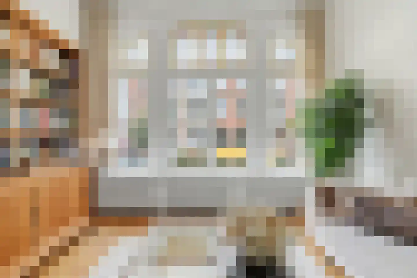 Rotterdamsestraat 8 Den Haag thumbnail 8