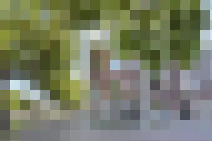 Rotterdamseweg 1 in Delft