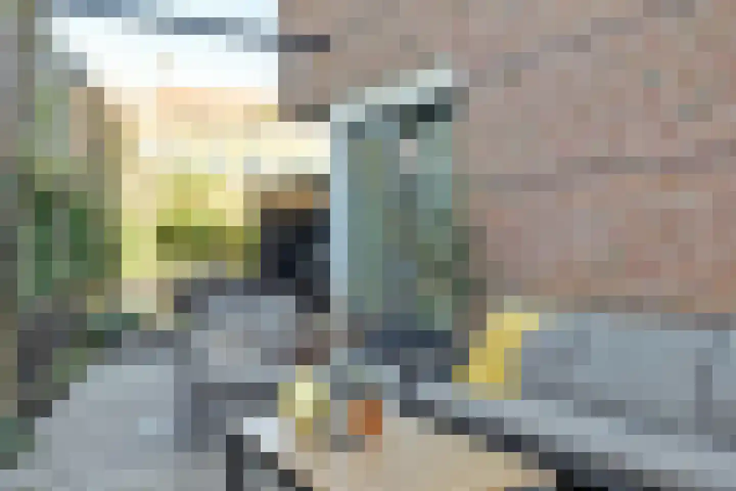 Rotterdamseweg 124 Zwijndrecht thumbnail 65