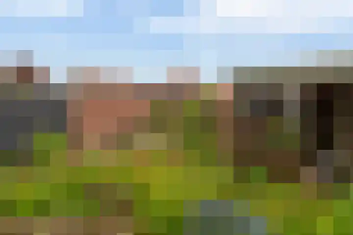 Rotterdamseweg 13 Krimpen aan den IJssel thumbnail 38