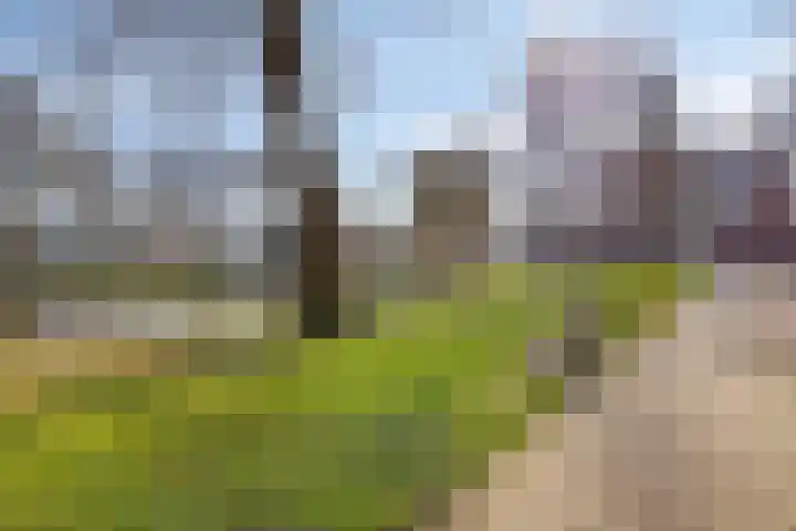 Rotterdamseweg 132 Zwijndrecht thumbnail 45