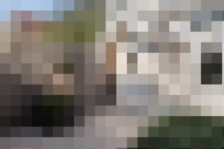 Rotterdamseweg 132 Zwijndrecht thumbnail 8