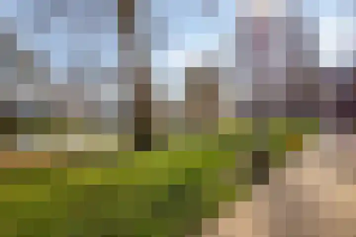 Rotterdamseweg 141 Zwijndrecht thumbnail 39