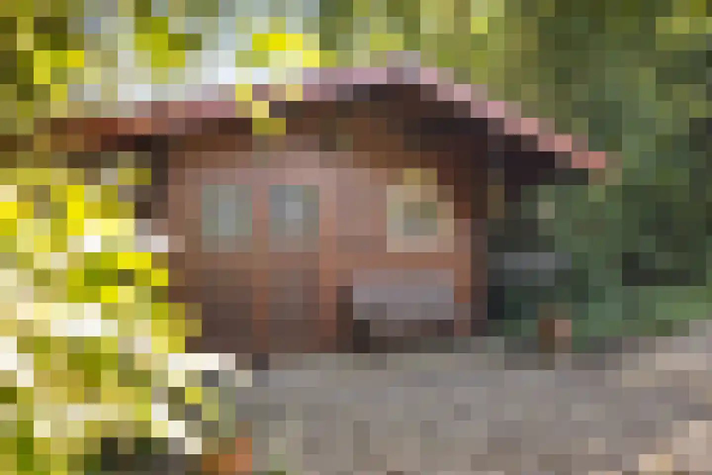 Rotterdamseweg 144 Zwijndrecht thumbnail 29