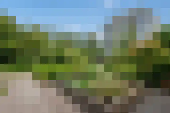 Rotterdamseweg 18 Rijswijk thumbnail 5
