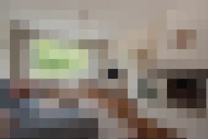 Rotterdamseweg 18 Rijswijk thumbnail 8