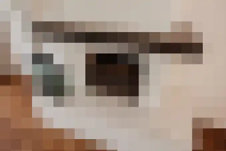 Rotterdamseweg 18 Rijswijk thumbnail 9