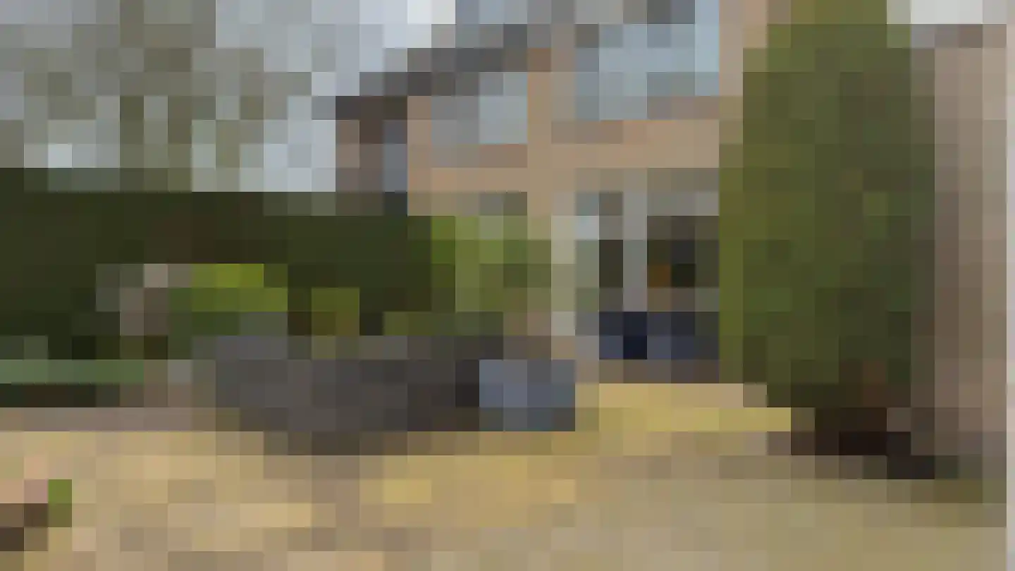 Rotterdamseweg 195 Zwijndrecht thumbnail 47