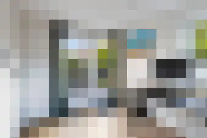Rotterdamseweg 210 Zwijndrecht thumbnail 37