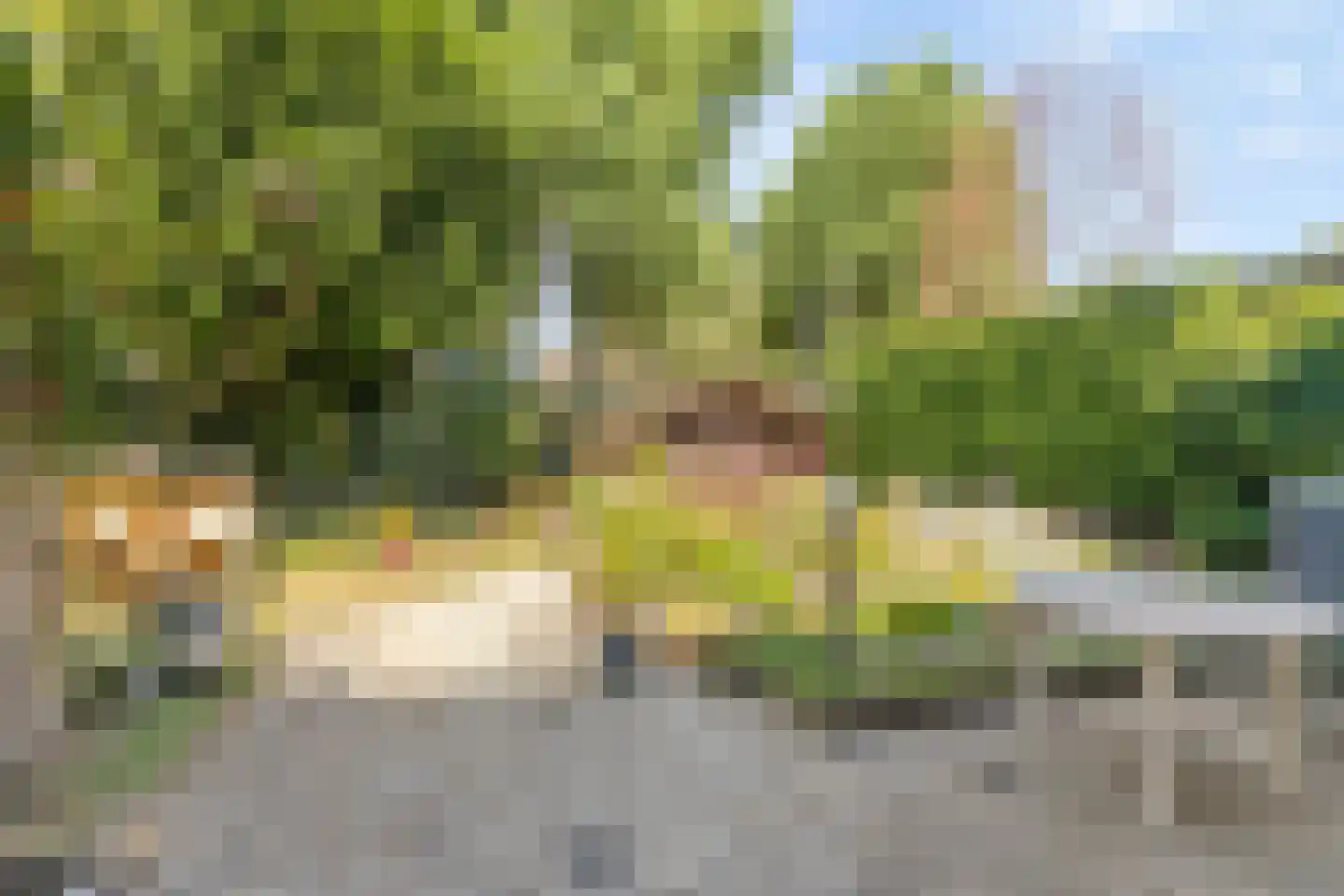 Rotterdamseweg 211 Zwijndrecht thumbnail 30