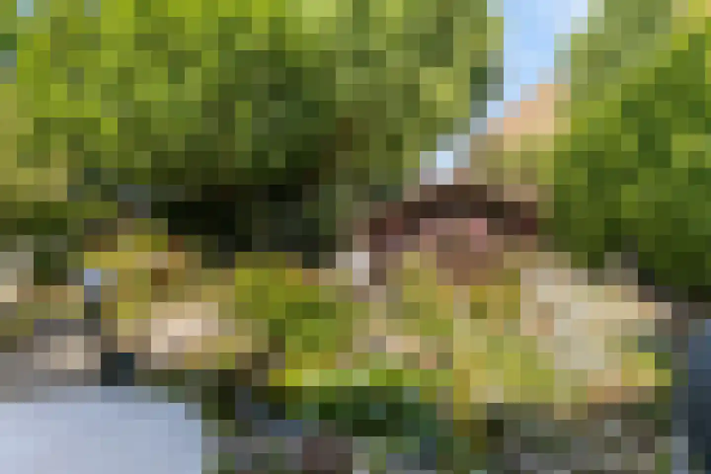 Rotterdamseweg 211 Zwijndrecht thumbnail 31