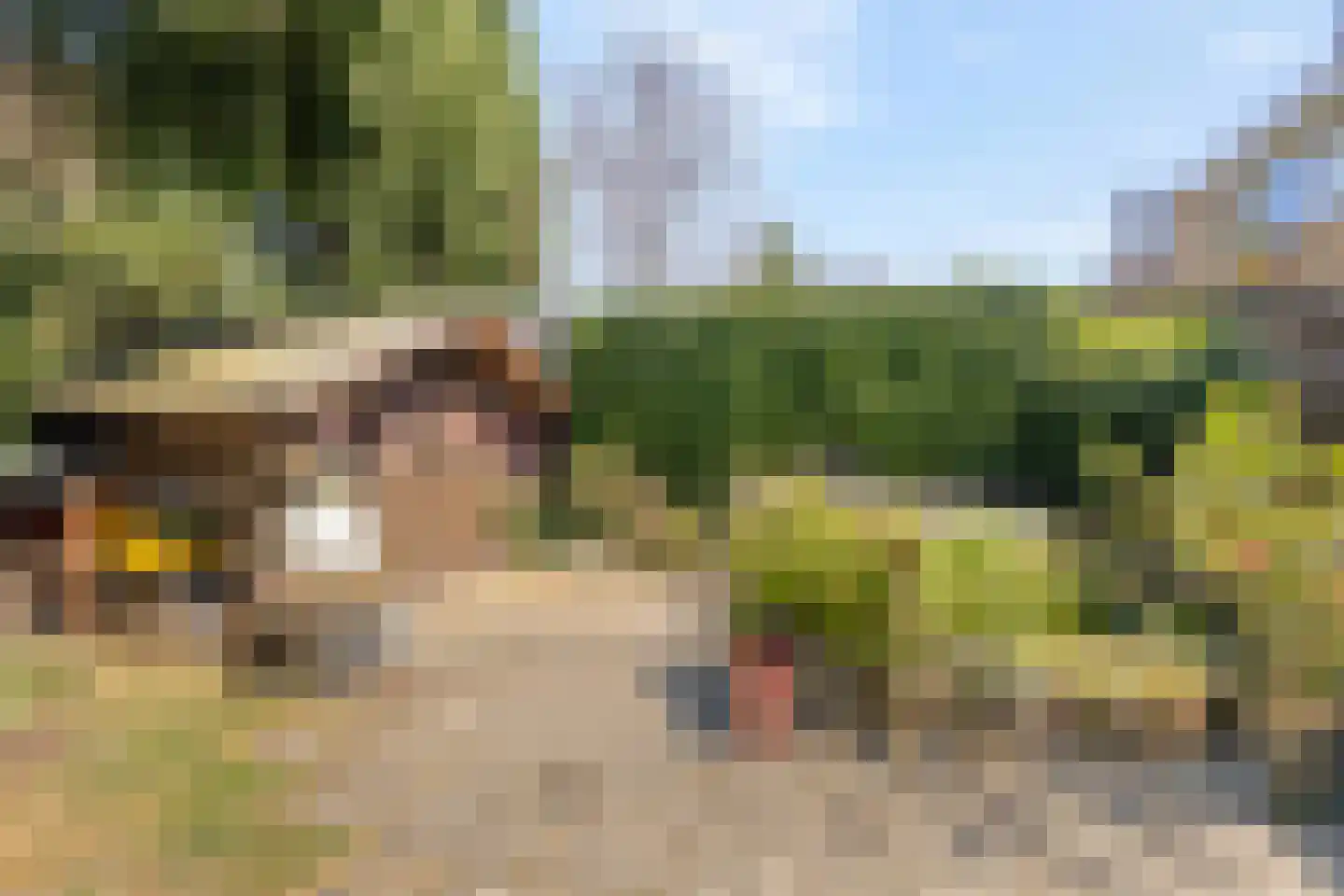 Rotterdamseweg 211 Zwijndrecht thumbnail 32