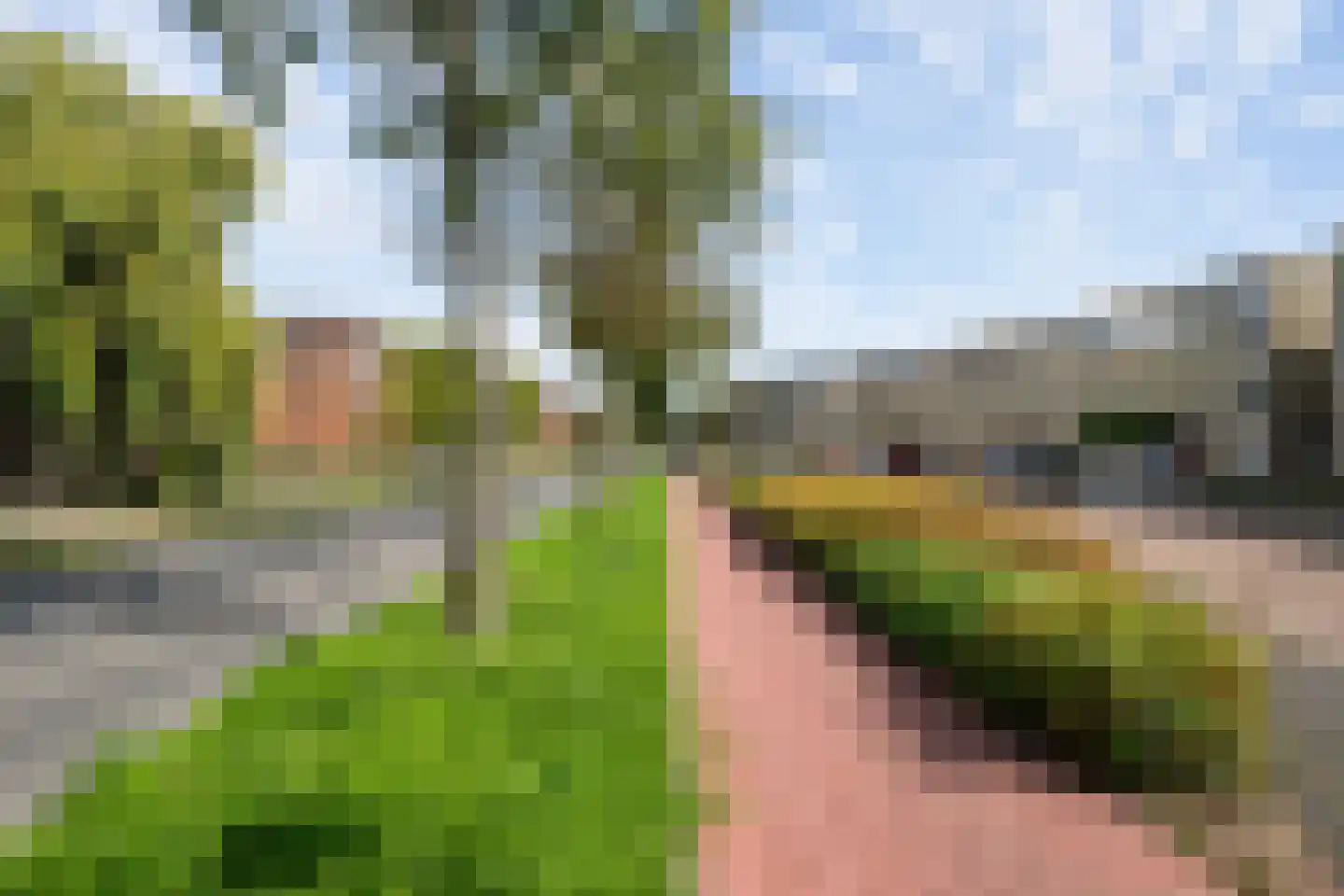 Rotterdamseweg 26 Vlaardingen foto 2