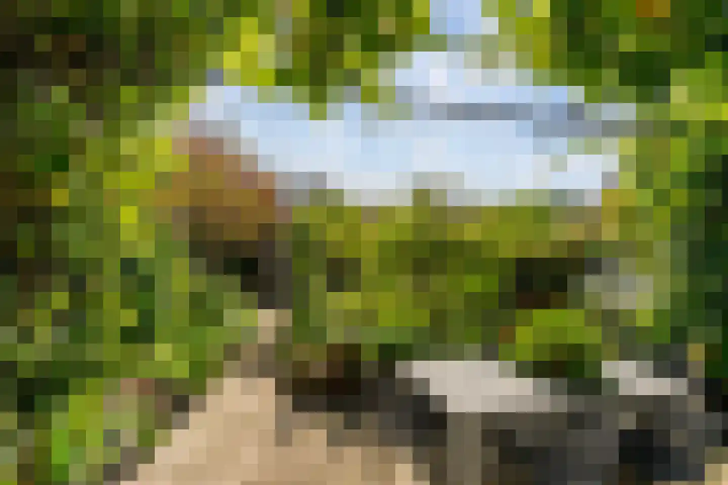 Rotterdamseweg 26 Vlaardingen thumbnail 6