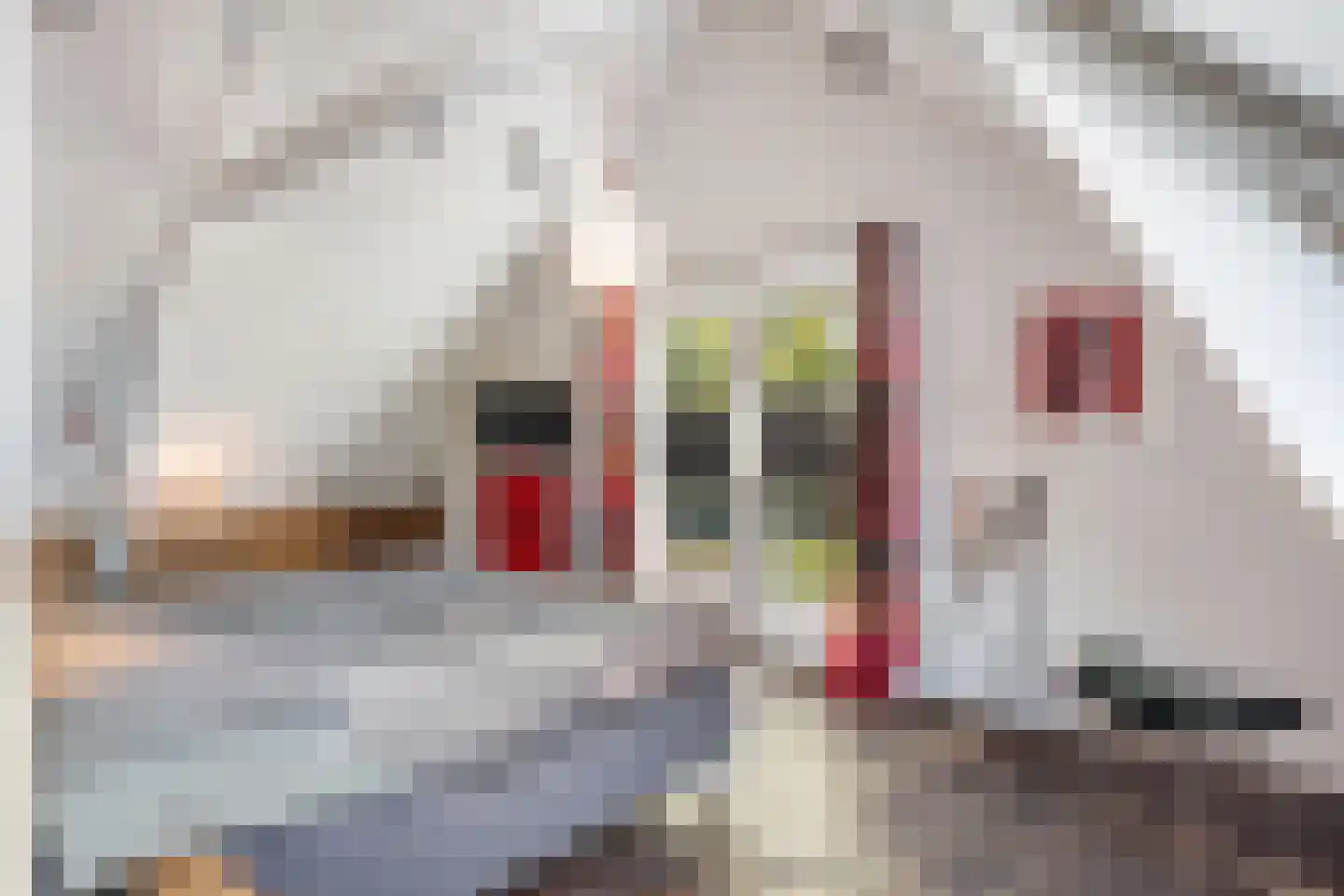 Rotterdamseweg 26 Zwijndrecht thumbnail 43