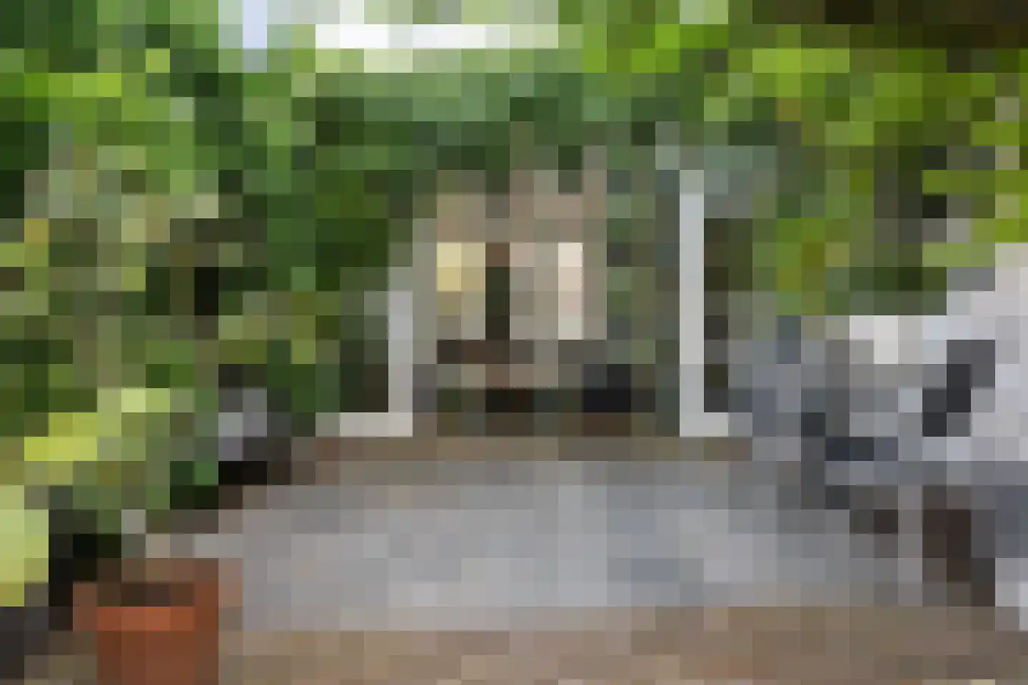 Rotterdamseweg 26 Zwijndrecht thumbnail 5