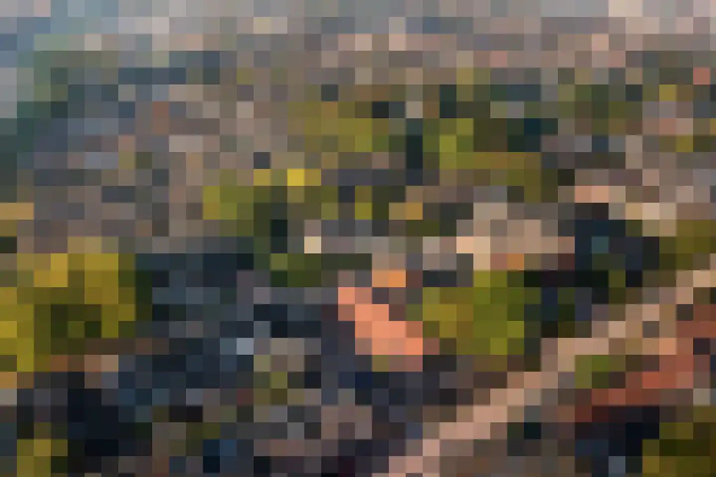 Rotterdamseweg 26 Zwijndrecht thumbnail 67