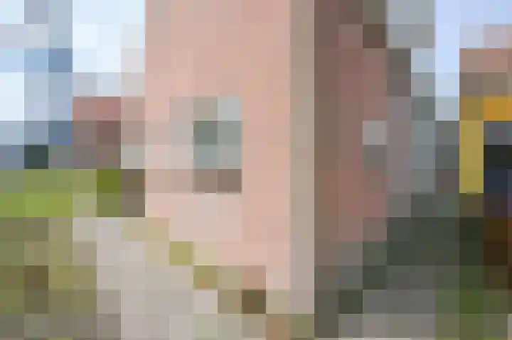 Rotterdamseweg 454 Delft thumbnail 21