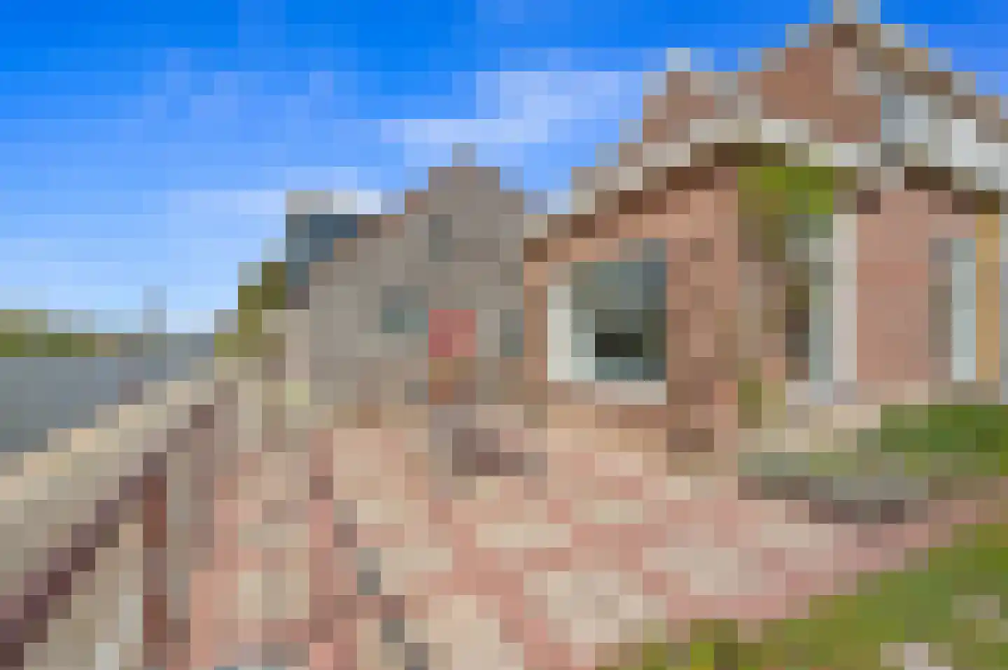 Rotterdamseweg 460 Delft thumbnail 5