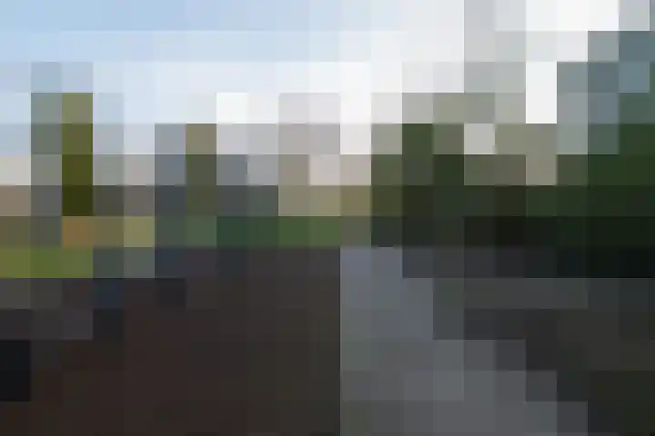 Rotterdamseweg 51 Schoonhoven thumbnail 62
