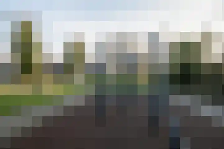 Rotterdamseweg 51 Schoonhoven thumbnail 63