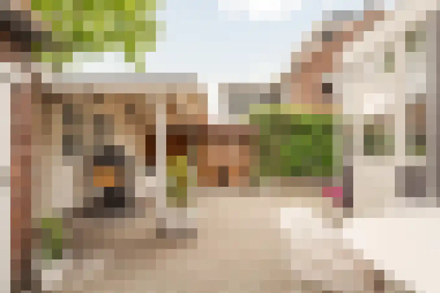 Rotterdamseweg 65 Krimpen aan den IJssel thumbnail 28