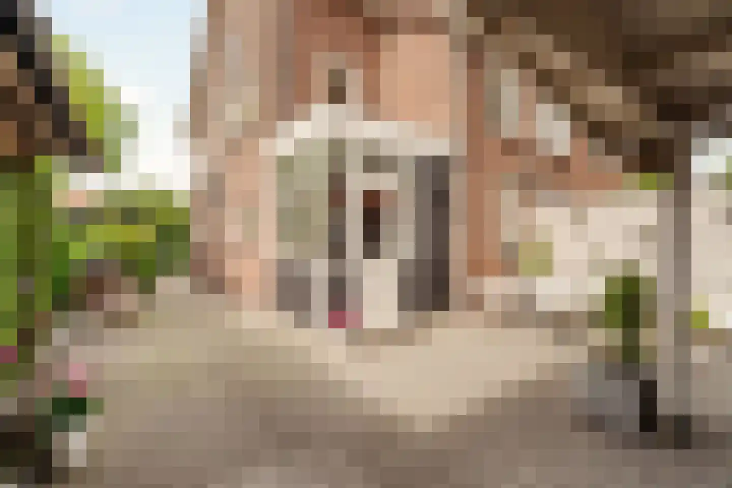 Rotterdamseweg 65 Krimpen aan den IJssel thumbnail 32
