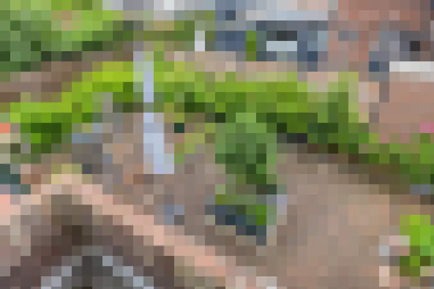 Rotterdamseweg 69 Krimpen aan den IJssel thumbnail 35