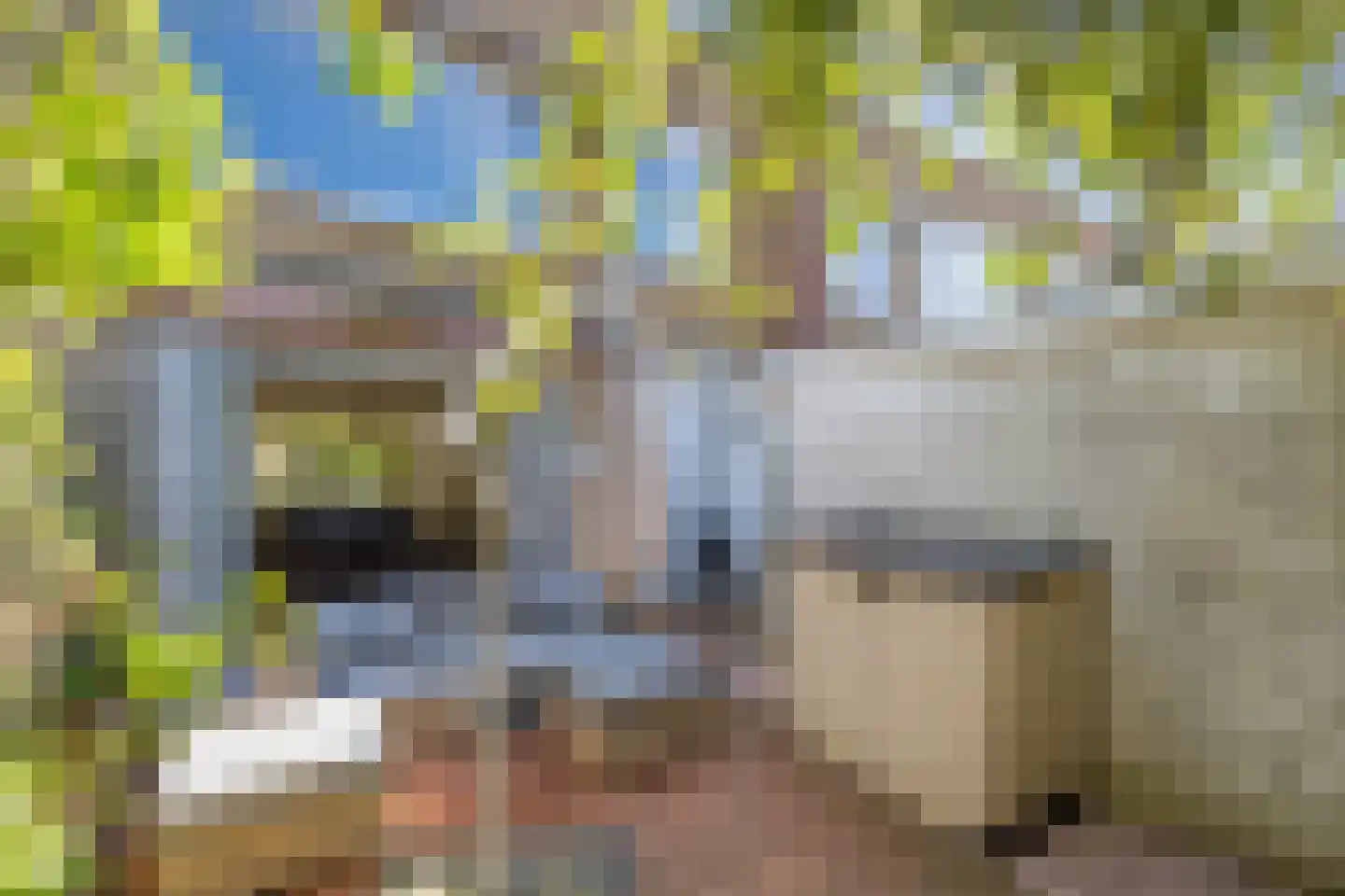 Rotterdamseweg 8 Rijswijk thumbnail 14