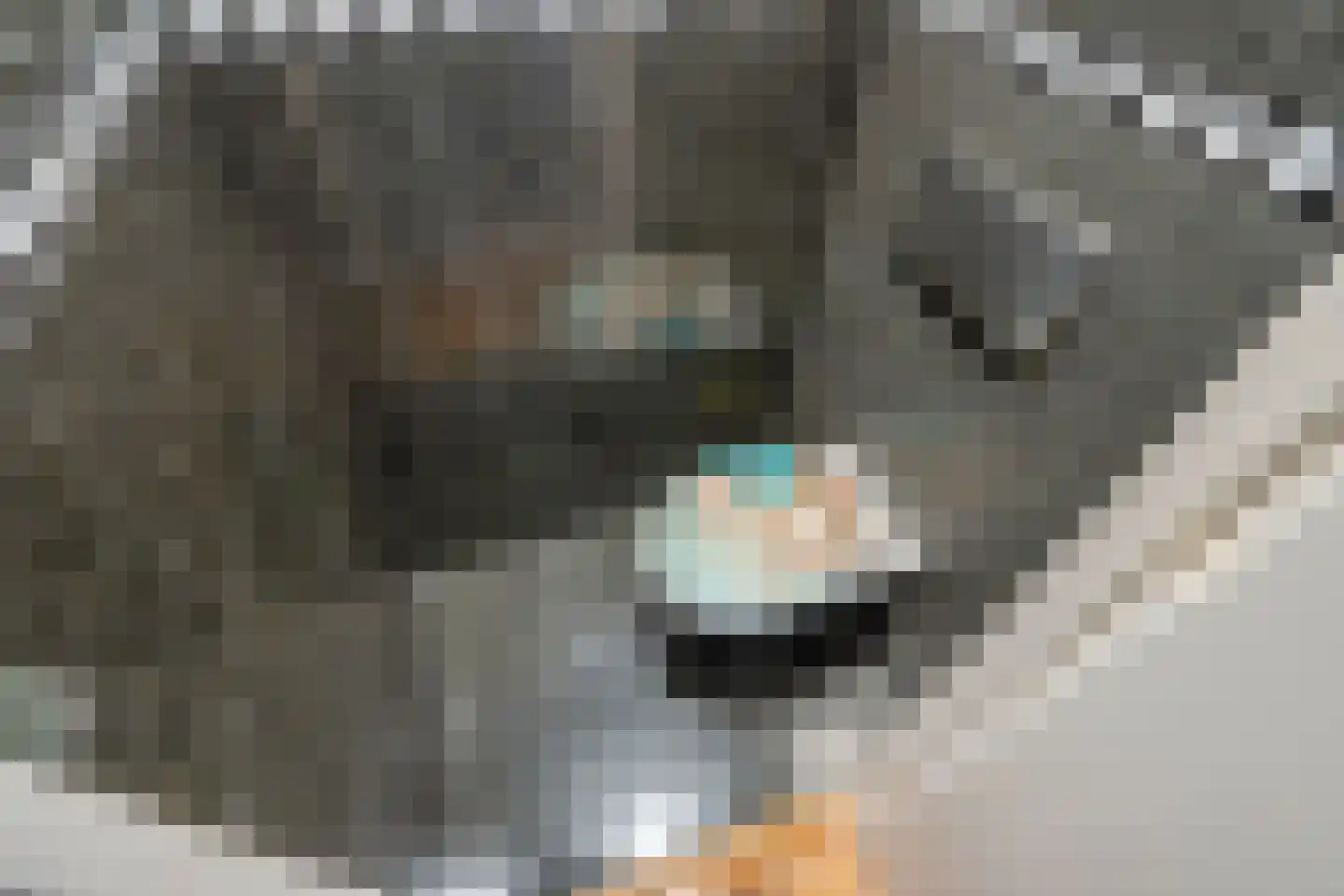 Rotterdamseweg 8 Rijswijk thumbnail 24