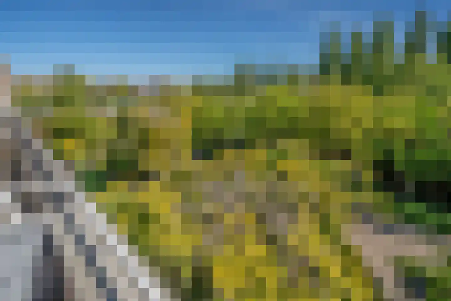 Rotterdamseweg 8 Rijswijk thumbnail 40