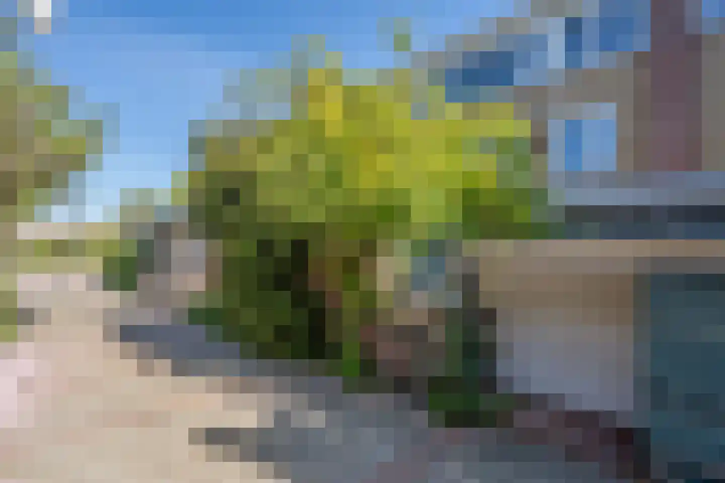 Rotterdamseweg 8 Rijswijk thumbnail 41