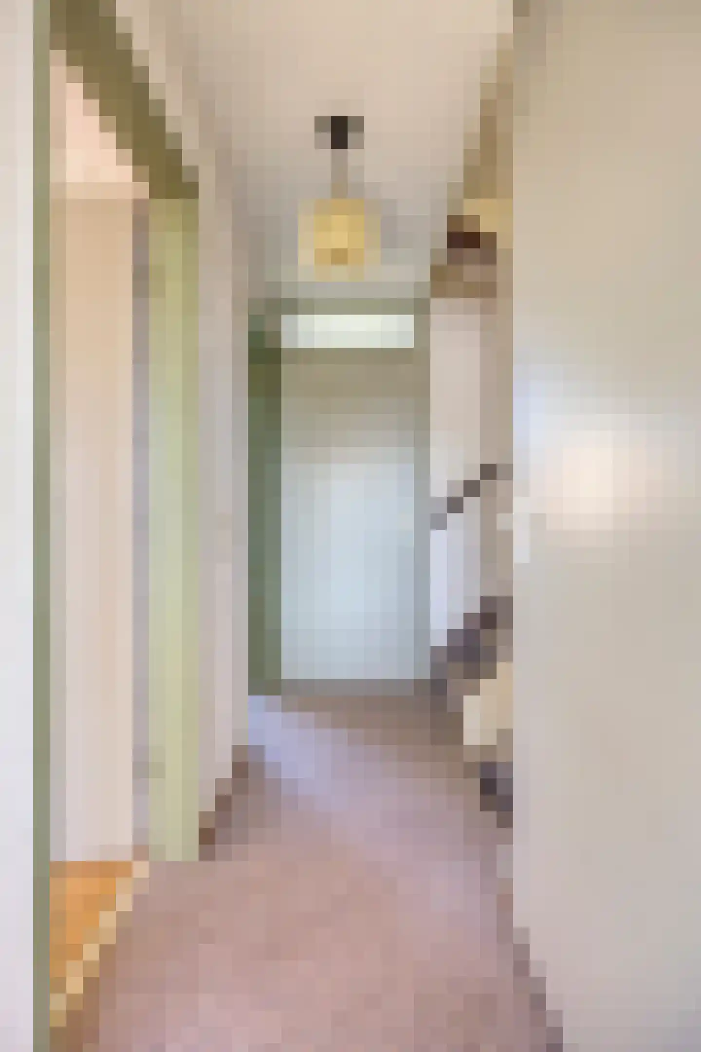 Rotterdamsingel 14 Arnhem thumbnail 32