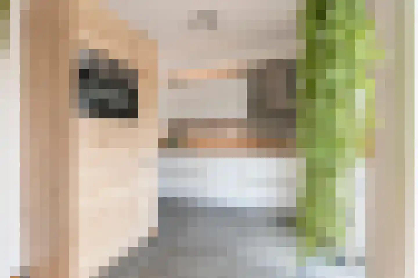 Rotterdamstraat 94 Heerlen thumbnail 8