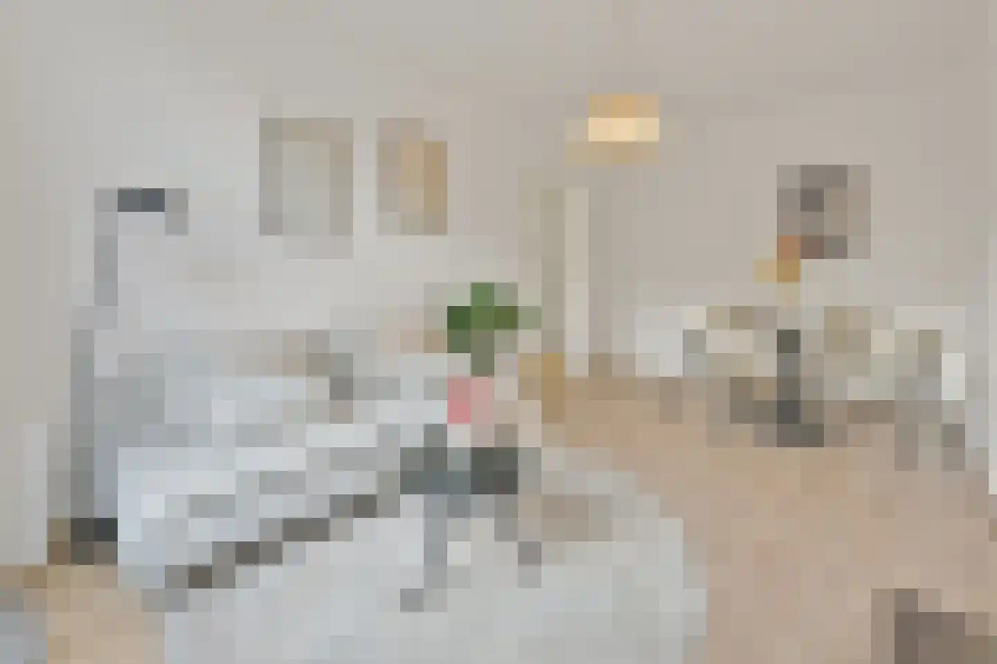 Rottermontstraat 45 Den Haag thumbnail 9