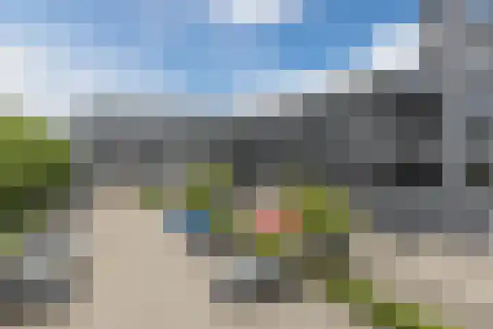 Rottumeroog 100 Hoofddorp