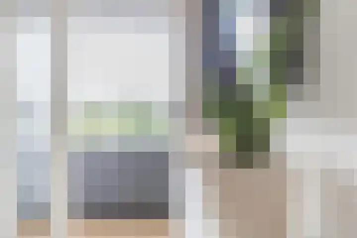 Rottumeroog 100 Hoofddorp thumbnail 12