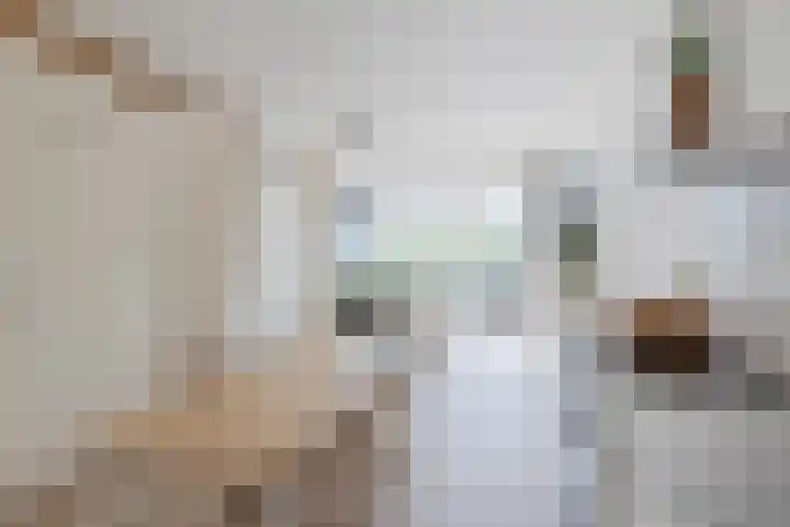 Rottumeroog 100 Hoofddorp thumbnail 13