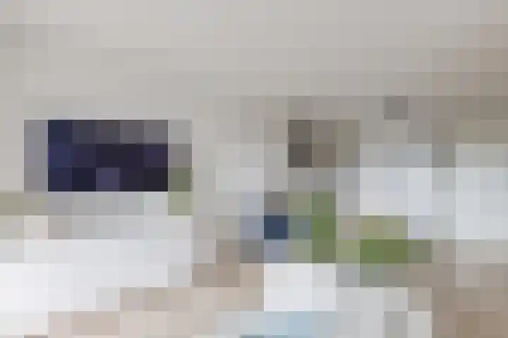 Rottumeroog 100 Hoofddorp thumbnail 15