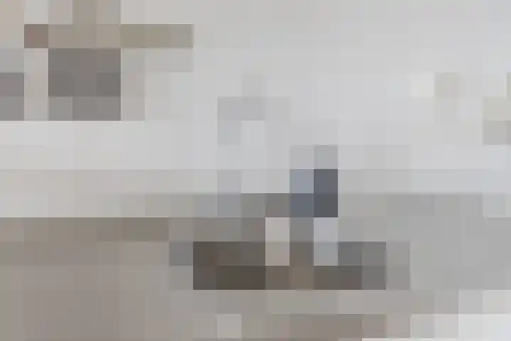 Rottumeroog 100 Hoofddorp thumbnail 17