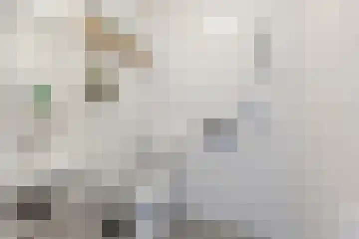 Rottumeroog 100 Hoofddorp thumbnail 22