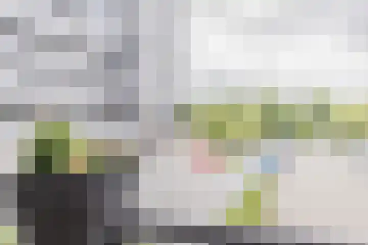 Rottumeroog 100 Hoofddorp thumbnail 25