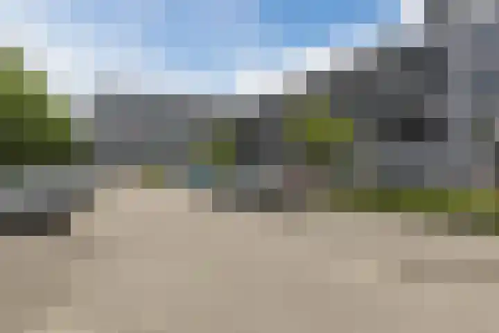 Rottumeroog 100 Hoofddorp thumbnail 27