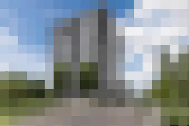 Rottumeroog 100 Hoofddorp thumbnail 28