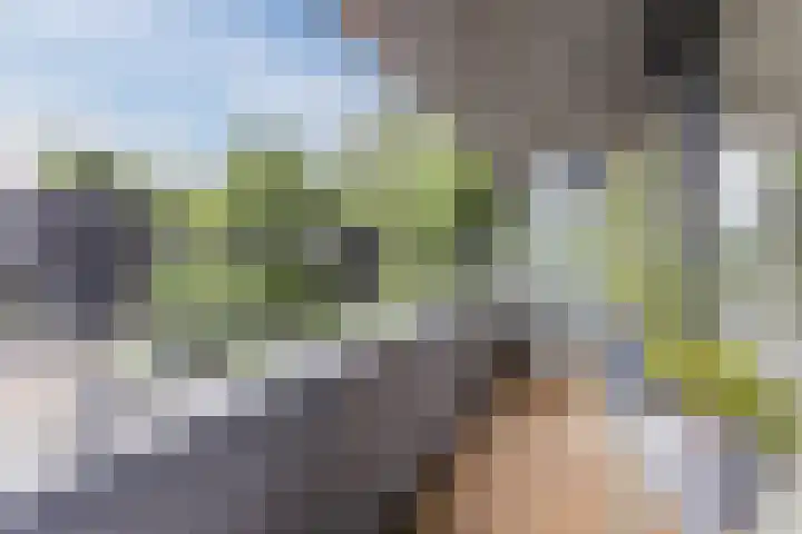 Rottumeroog 100 Hoofddorp foto 3