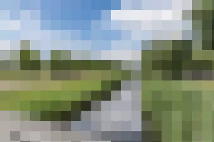 Rottumeroog 100 Hoofddorp thumbnail 31